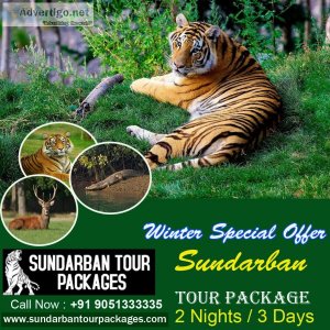 Sundarbans tour for 1 days | book sundarban tour packages