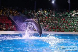 Dubai dolphinarium