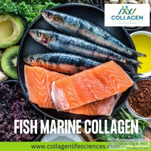 Collagen life sciences top quality fish collagen manufacturers