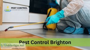 Pest control brighton