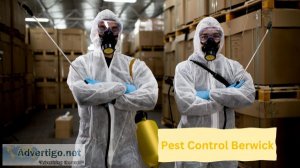 Pest control berwick