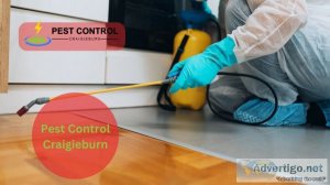 Pest control craigieburn vic 3064