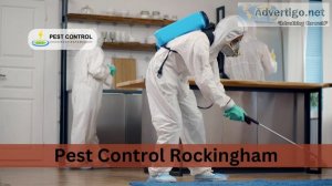 Pest control rockingham wa 6168