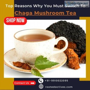 Top reasons why you must switch to chaga mushroom tea