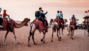 Wonders of the dubai desert