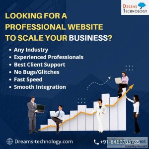 Professional web development company