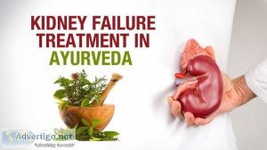 Ayurvedic treatment for kidney failure - creatinine treatment