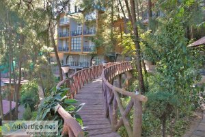 Best luxury resort & hotel in kasauli - kasauli hills resort