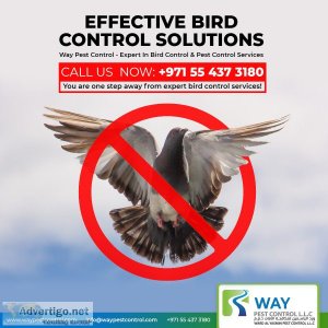 Effective bird control services in dubai - keep your property sa