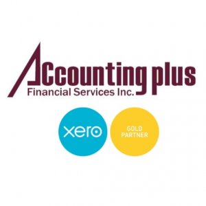 Preview: accounting and bookkeeping services ? accounting plus |