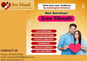 Sree Sibnath - Love Problem Solution Expert