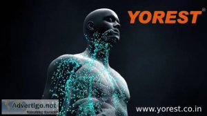 Vitamin c | zinc | best way to boost immunity | ginseng:YOREST