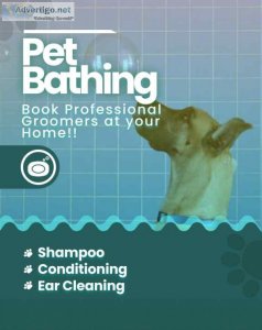 Dog groomers in bangalore - mr n mrs pet