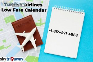 Unlock great savings: turkish airlines low fare calendar