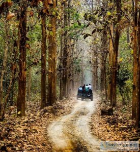 Jim corbett national park