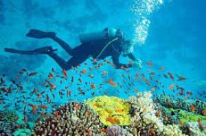 Andaman tour packages | andaman tour package