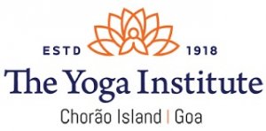 Unlock your potential with a yoga teacher training program | the