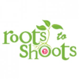 roots to shoots