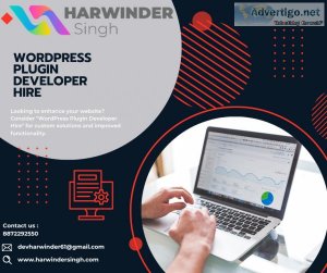 Wordpress plugin developer hire