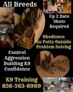 Pro k9 trainer all breeds puppy