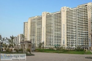 Dlf magnolias sector 42 gurgaon - luxury apartment for rent/sale