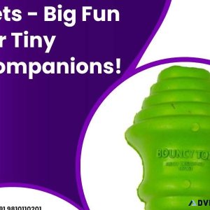 Toys for Small Pets - Big Fun for Tiny Companions