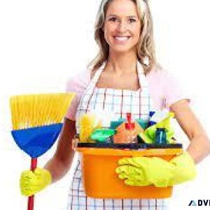 Green Home Cleaner needed