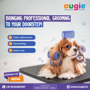 Pet grooming service in bangalore