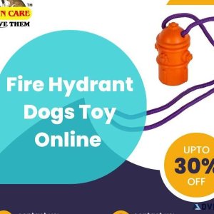 Shop Fire Hydrant Dogs Toy Online  Call 91 9810110201