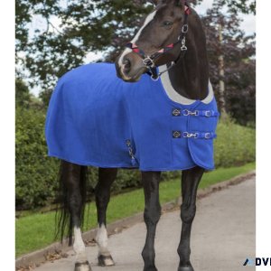 Horse Thermal Rugs Exporter in Kanpur