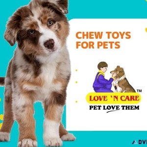 Chew Toys for Pets Keep Them Happy Call 91 9810110201