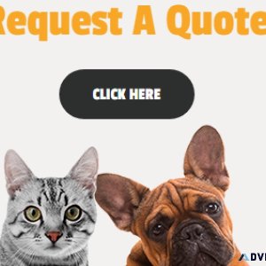 International Pet Relocation Services by AirPets