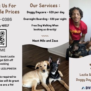 Doggy Daycare Service - 20day