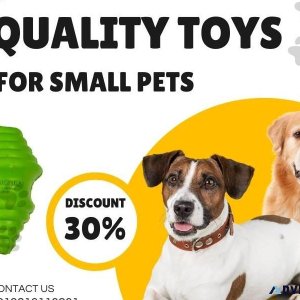 Quality Toys for Small Pets  Call 919810110201