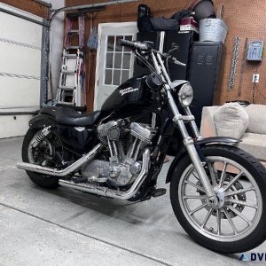 2005 Harley Davidson Sportster