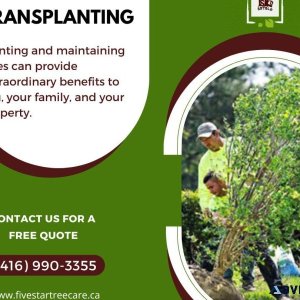 Tree Planting and Transplanting Services