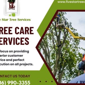 Tree Removal Services in Toronto