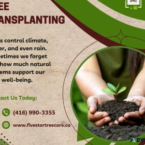 Toronto Tree Planting and Transplanting