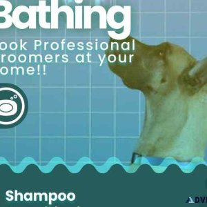 Dog Grooming Kolkata