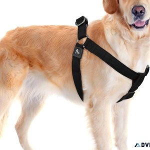 The Ultimate Rocky Mountain Dog Harness Collection