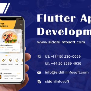 Siddhi infosoft - flutter app development services in usa