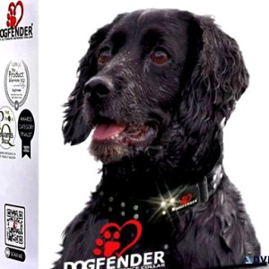 Ultimate Dog Collar Defence System - Protect Your Dog Today