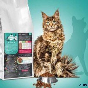 Vetsaveur Cat Croquettes  Quality Nutrition for a Happy Cat