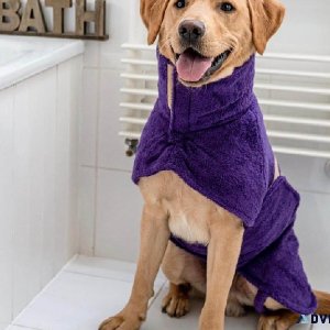 Quick-Dry Comfort Dog Drying Coats for Sale in the UK