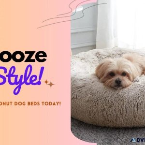 AuzPetz Is Your One-Stop-Shop for Wholesale Pet Supplies in USA