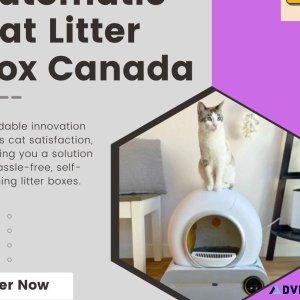 Affordable Automatic Litter Box Smart Solutions Sensible Prices