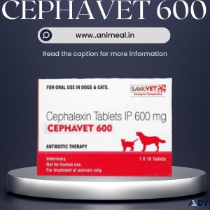 Cephavet 600mg 10tab - Flat 12% OFF - Free Shipping - Animeal