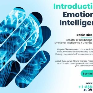 Emotional Intelligence Training for Professionals and others