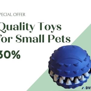 Quality Toys for Small Pets  91 9810110201