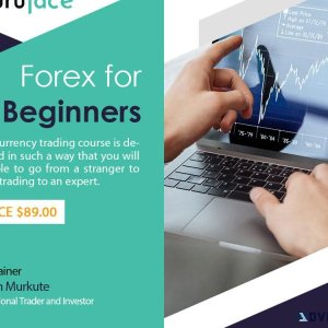 Forex trading course for beginners